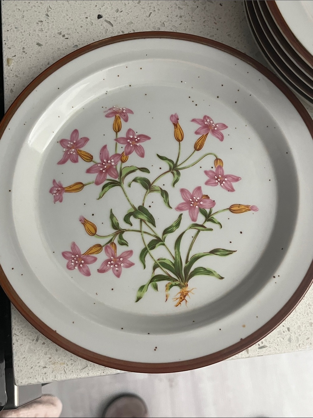 Hearthside Buffet Ware NO 651 VTG Japan Wildflower pink 8 in Dessert/Salad (6)